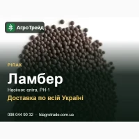 Пр0двм нвсіння ріпвку Лвм6ер - елітв, РН-1