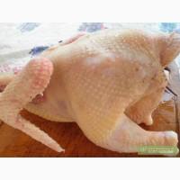 Продам курку бройлера, домашние