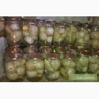 Продам настойку гриба веселка