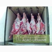 Продадим большим и мелким оптом говядину, свинину