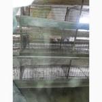 Продам клетки для кур бу