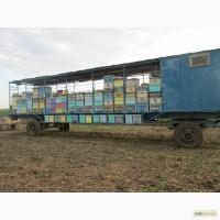 Продам прицеп для перевозки пчел