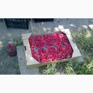 Продам Машину Сорт Полка поляна