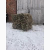Продам сено