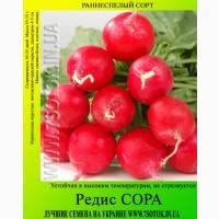 Семена редиса «Сора», высокая всхожесть