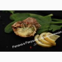 Рапаны Фаршированые в ракушке в ассортименте (Лосось, трюфель, прованс)