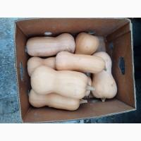 Продам тикву баттернат