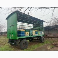 Продам свою пасеку, пчелосемьи, с вагончиком