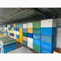 Продам свою пасеку, пчелосемьи, с вагончиком