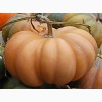 Продам гарбуз