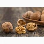 Закуповуємо грецький горіх ( цілий)