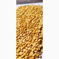 Продам Жовтий колотий горох, сорт А