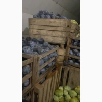Продам капусту червоно качану