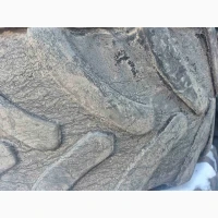 Б/в шина 460/70R24 (17.5L24) Firestone (вживана)
