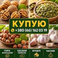 Куплю горіх, фундук, насіння гарбуза, часник
