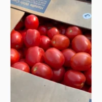 Пролам номерную сливку