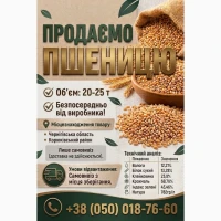 Продаємо пшеницю