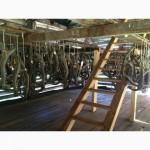 Панты марала консервированные рога