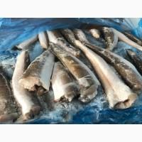 Хек тушка свежемороженый 0, 00, 300/500