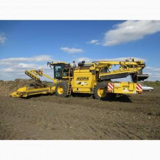 Погрузка сахарной свеклы погрузчиком Ропа