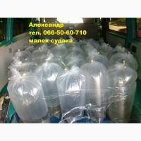 Продам малек судака 0, 70 грн