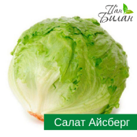 Продаем салаты ФХ Пан Билан