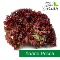 Продаем салаты ФХ Пан Билан