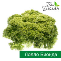 Продаем салаты ФХ Пан Билан