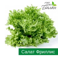 Продаем салаты ФХ Пан Билан
