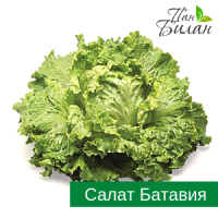 Продаем салаты ФХ Пан Билан