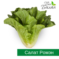 Продаем салаты ФХ Пан Билан