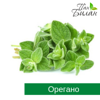 Продаем салаты ФХ Пан Билан