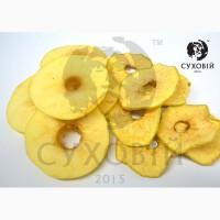 Инфракрасная сушильная камера для продуктов питания Sukhoviy Next