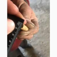 Продам Пеллеты из соломы зерновых