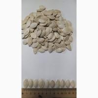 Пропонуємо до продажу гарбузове насіння на постійній основі