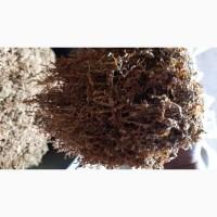 Тютюн опт та роздріб Гавана Дюбек Вірджинія Руно Голд Вінстон Кап Блек Махорка Ксанті