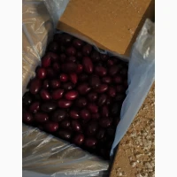 Продам кизил шокової заморозки 2025 р.в