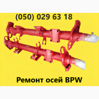 Ремонт та заміна гусаків (Intrax) ось SAF.Посилені. Власного виробництва