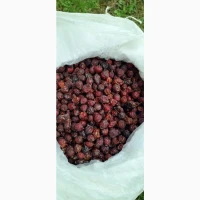 Продам кампотну суміш