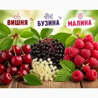 Куплю малину, бузину, вишню, смородину, м. Золотоноша, Черкаська обл