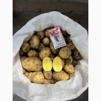 ПРОДАМ картопля молода