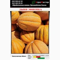 Куплю Диню з поля солодку