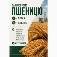Куплю пшеницю