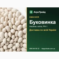 Буковинка - квасоля, насіння еліта, РН-1 з документами