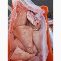 Щекв нв шкуре 6вки