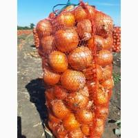 Продам 100 тонн лука репчатого, фото настоящие.свои поля.Херсонская обл Каховка