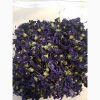 Malva (Мальва цветки, mallow)