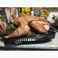 Продам тушку индейки