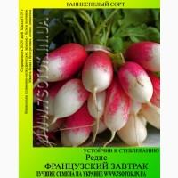 Семена редиса «Французский Завтрак», высокая всхожесть