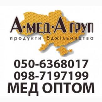 АМЕДА ГРУП купуємо мед оптом Кіровоградська, Полтавська обл